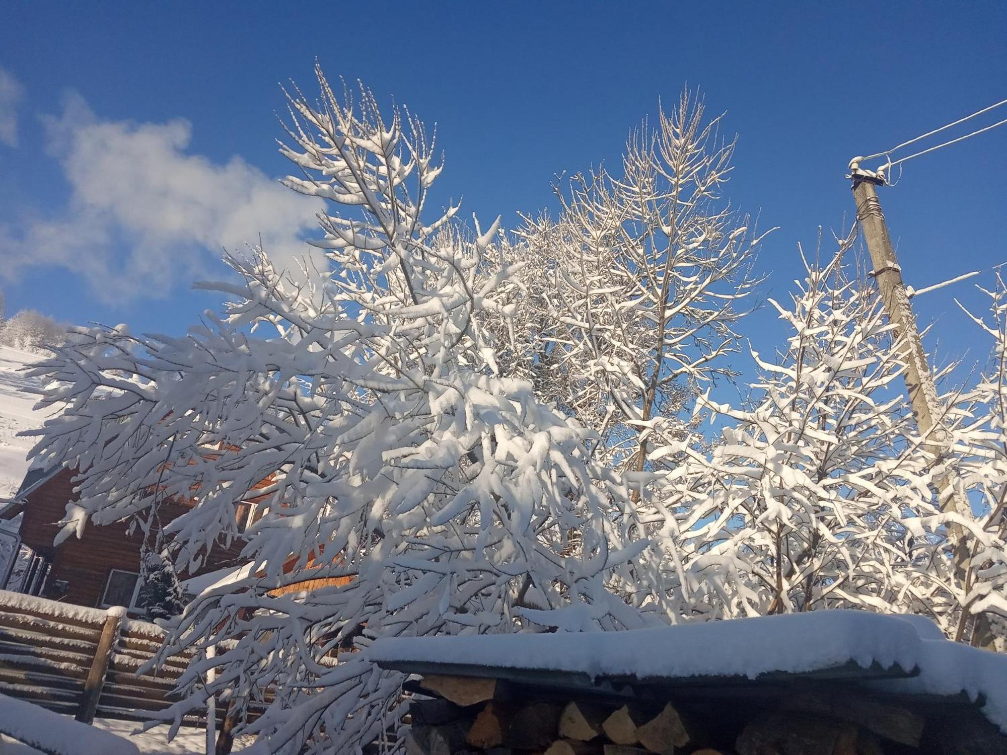 У Олега Otel Verkhne-Studenyy Dış mekan fotoğraf
