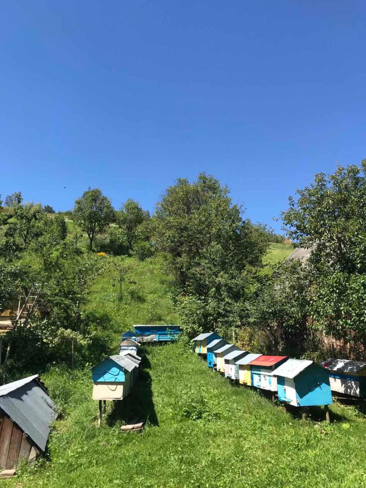 У Олега Otel Verkhne-Studenyy Dış mekan fotoğraf